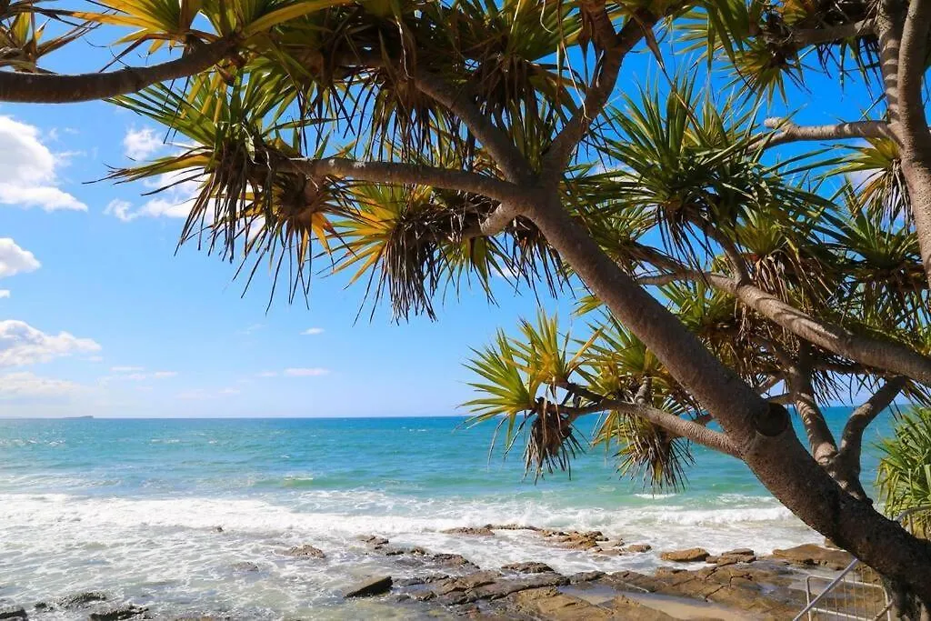 Alex Heads Beachfront Resort King Bed Studio Room Alexandra Headland Apartamento